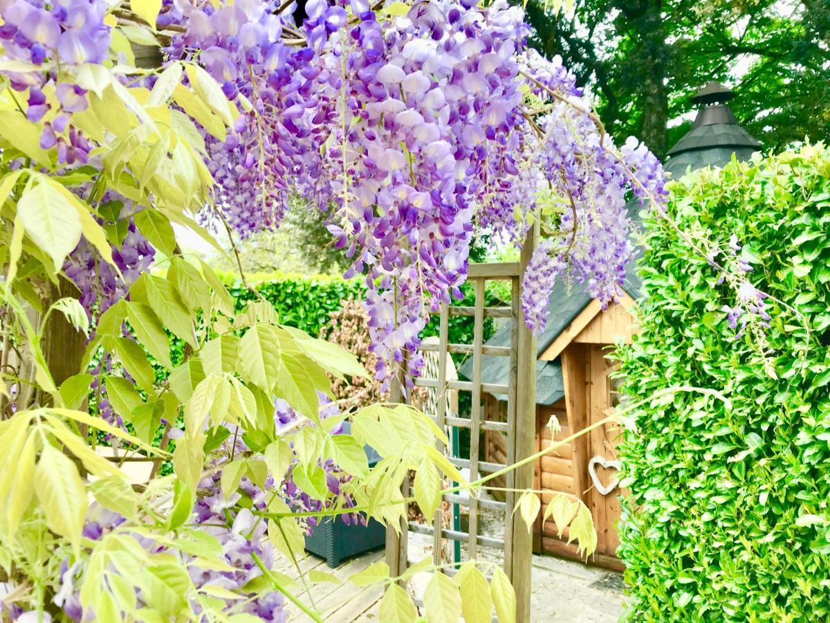 메르슈 Le Relais Des Anges B&B 외부 사진
